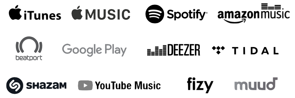 applemusic, spotify, youtube,deezer, tidal, tiktok